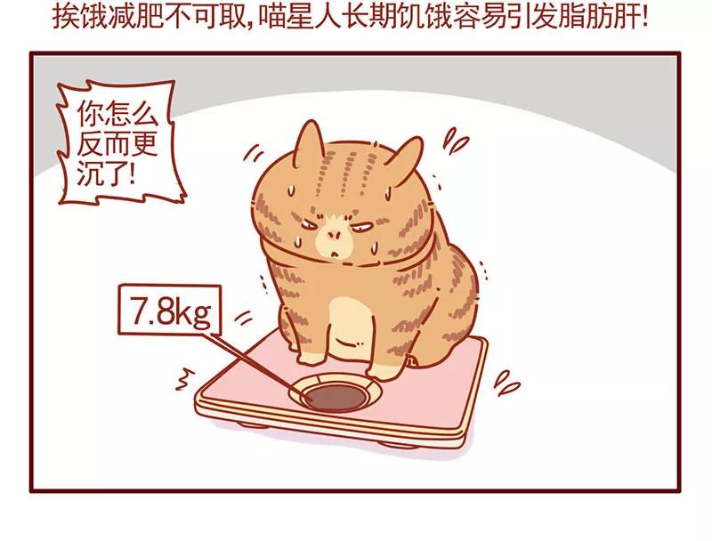 我只是一只小猫咪 第3话 第6页