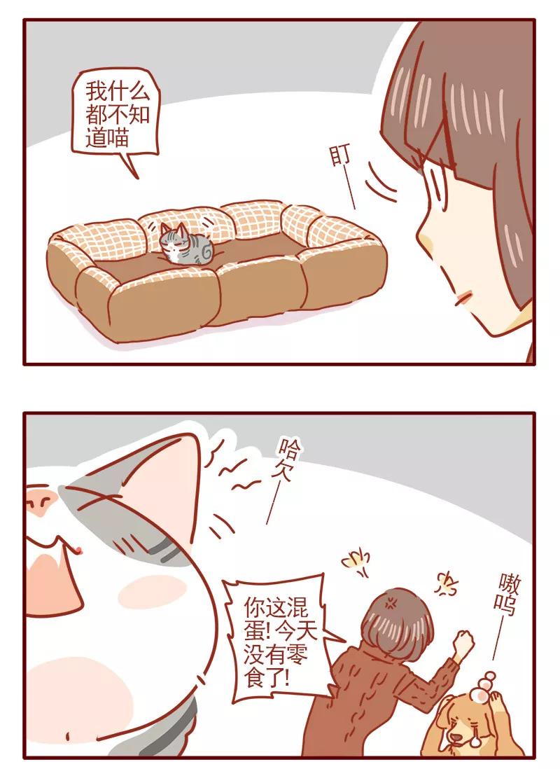 我只是一只小猫咪 第3话 第16页