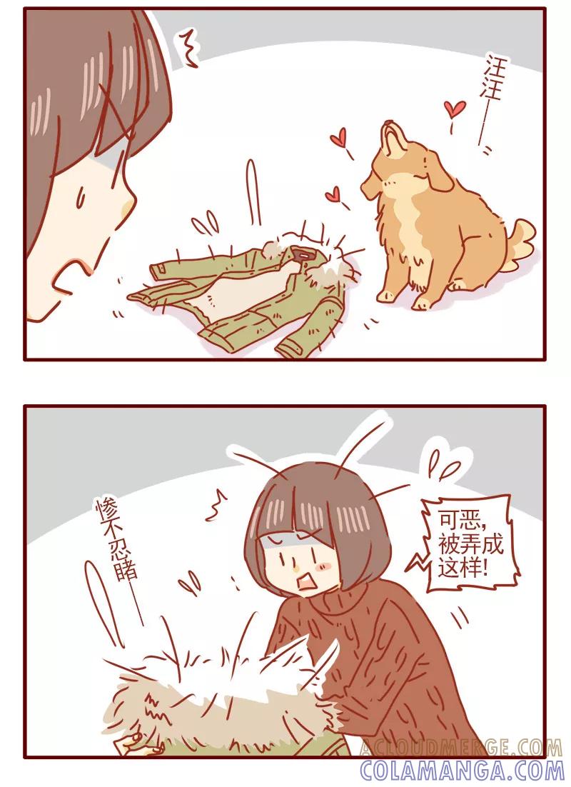 我只是一只小猫咪 第3话 第15页