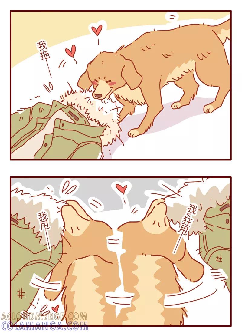 我只是一只小猫咪 第3话 第13页