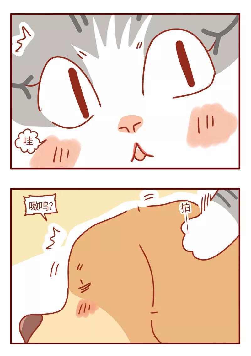 我只是一只小猫咪 第3话 第10页