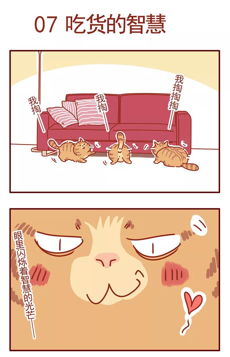 我只是一只小猫咪 第3话 第2页