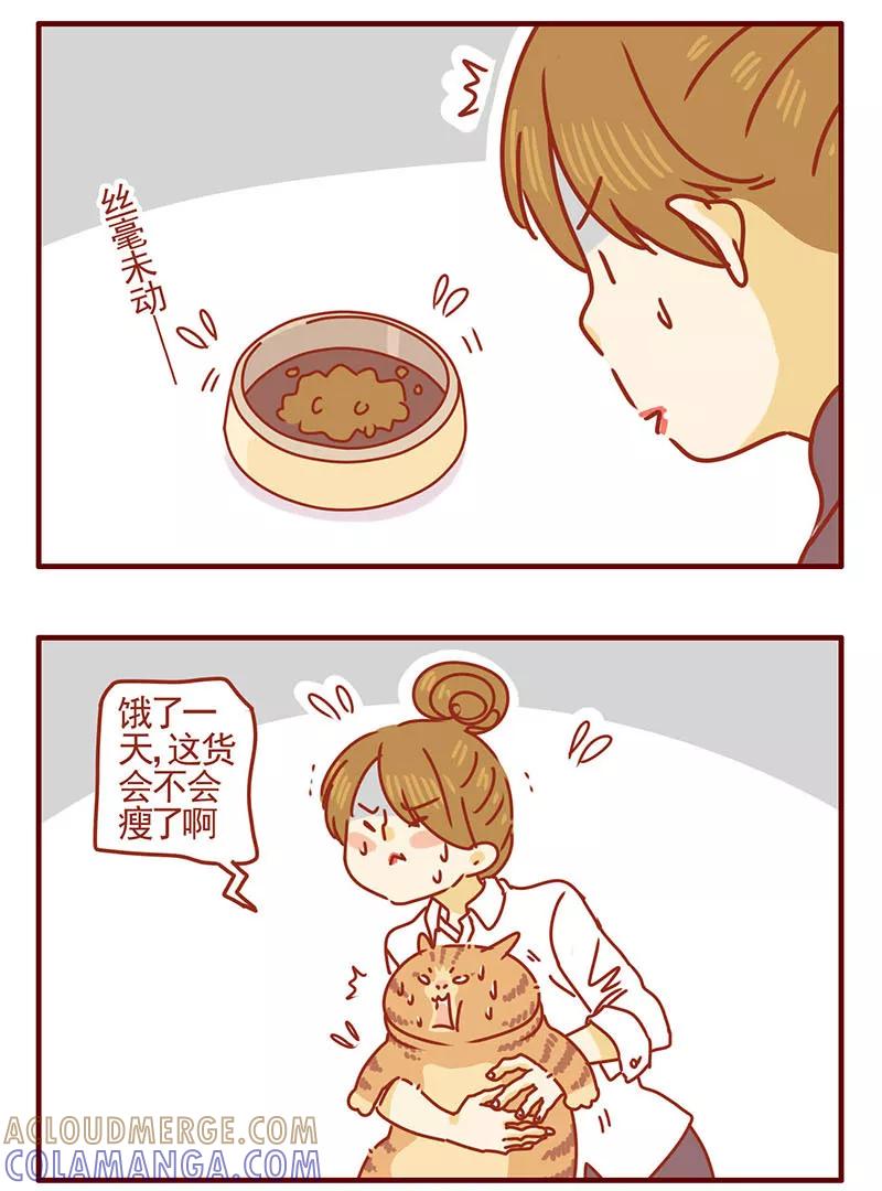 我只是一只小猫咪 第3话 第5页