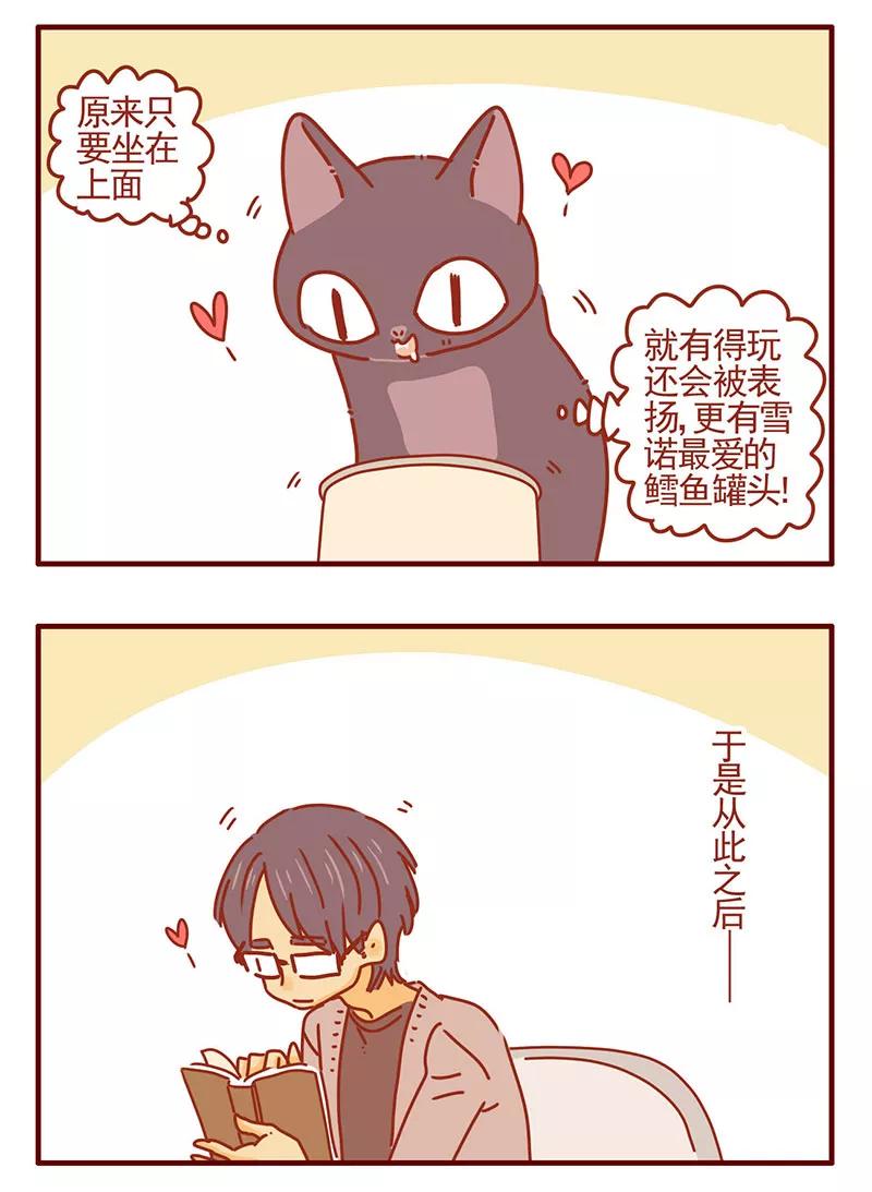 我只是一只小猫咪 第30话 第8页