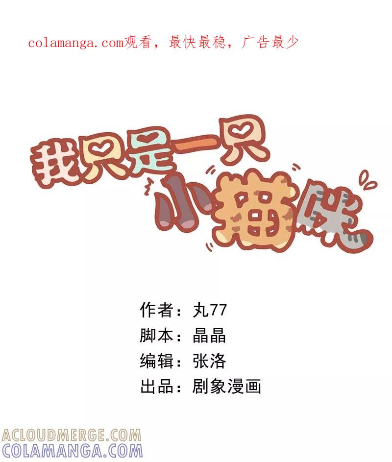 我只是一只小猫咪 第30话 第1页