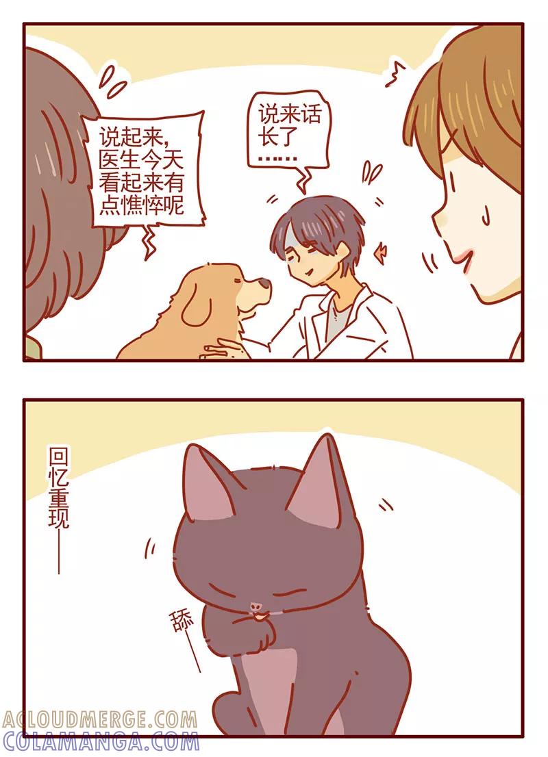 我只是一只小猫咪 第30话 第3页