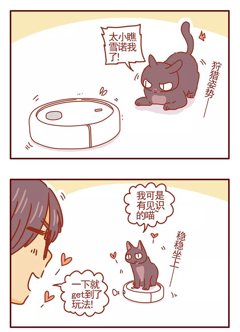 我只是一只小猫咪 第30话 第6页