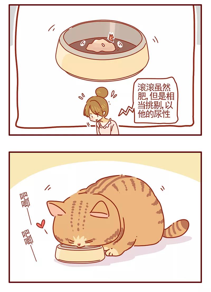 我只是一只小猫咪 第31话 第10页