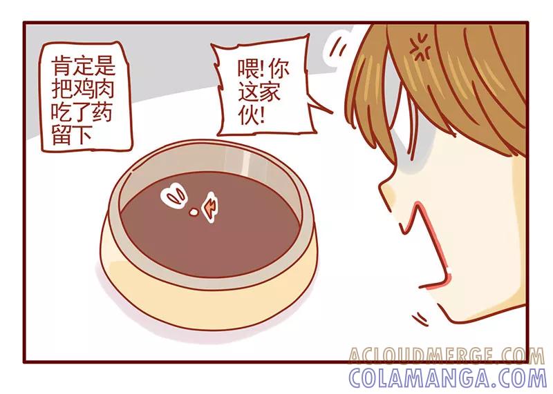 我只是一只小猫咪 第31话 第11页