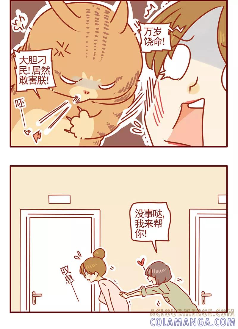 我只是一只小猫咪 第31话 第15页