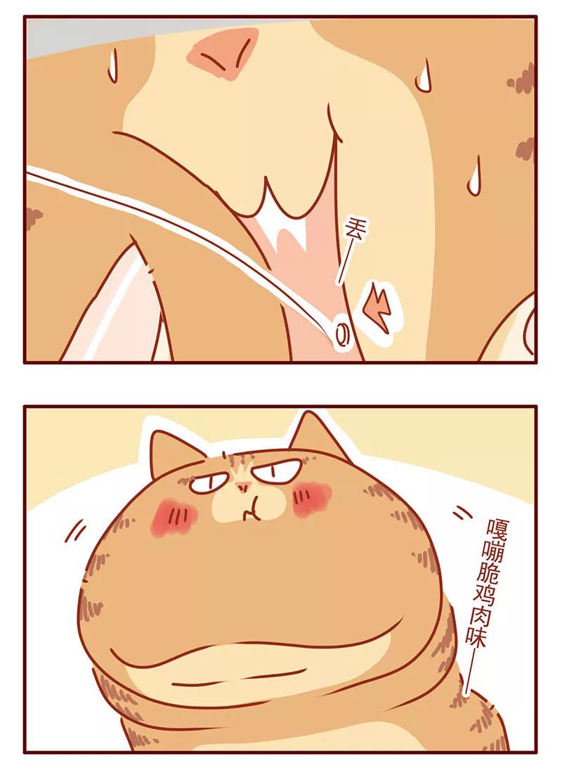我只是一只小猫咪 第31话 第18页
