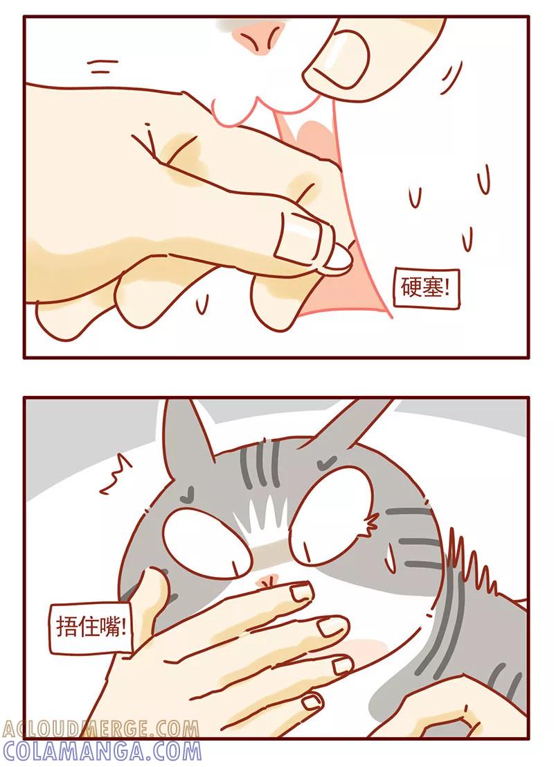 我只是一只小猫咪 第31话 第13页