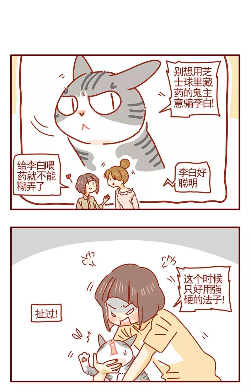 我只是一只小猫咪 第31话 第12页