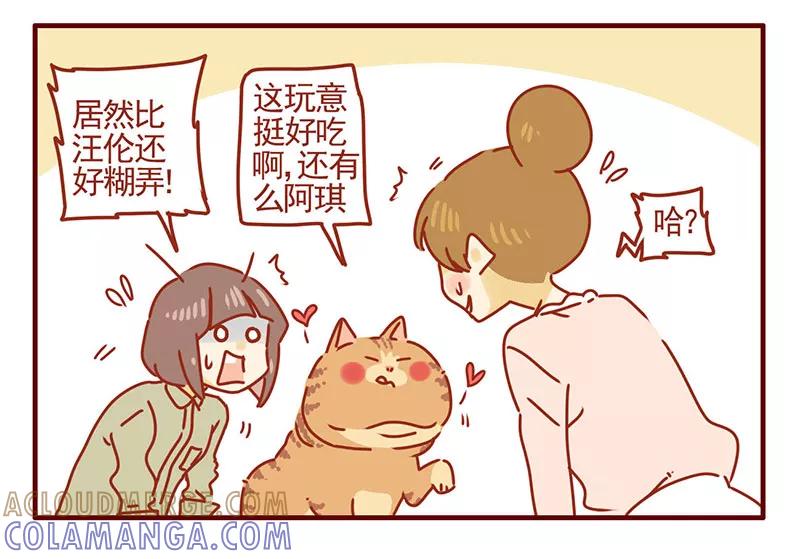 我只是一只小猫咪 第31话 第19页