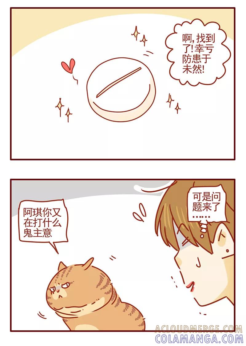 我只是一只小猫咪 第31话 第5页