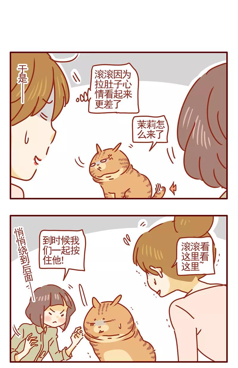 我只是一只小猫咪 第31话 第16页