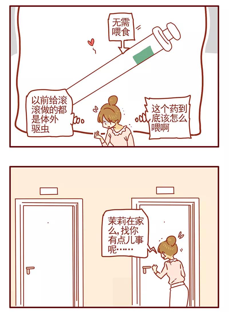 我只是一只小猫咪 第31话 第6页