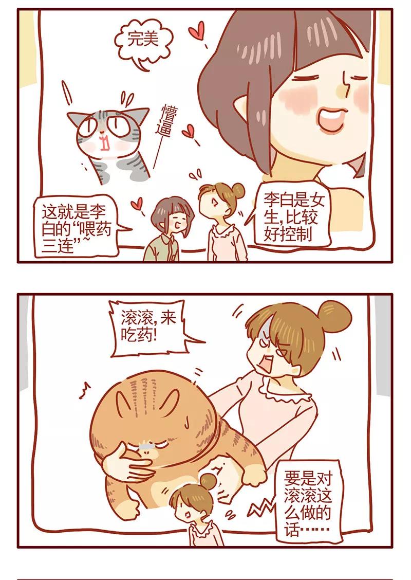我只是一只小猫咪 第31话 第14页