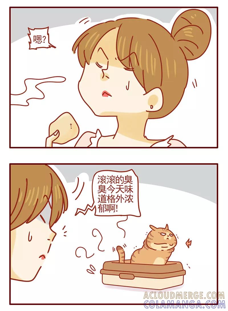我只是一只小猫咪 第31话 第3页