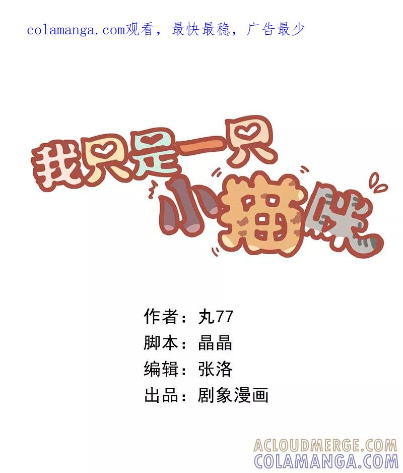 我只是一只小猫咪 第32话 第1页