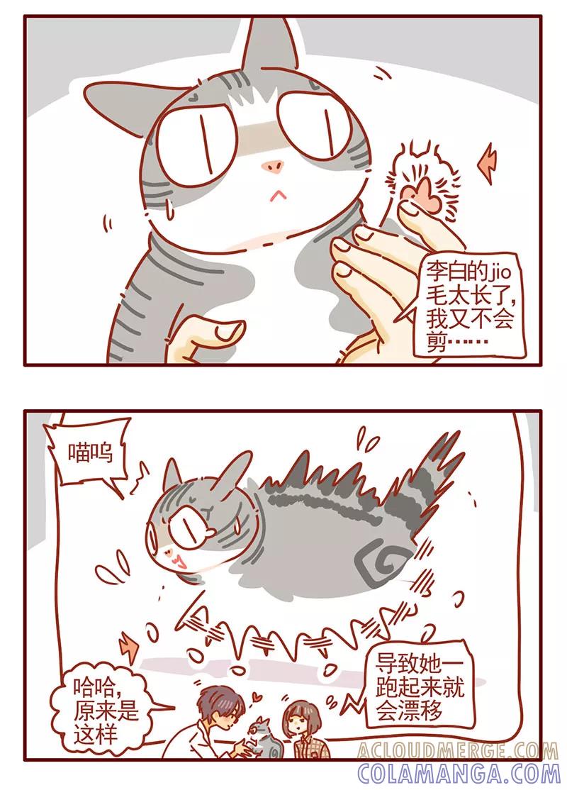 我只是一只小猫咪 第32话 第5页