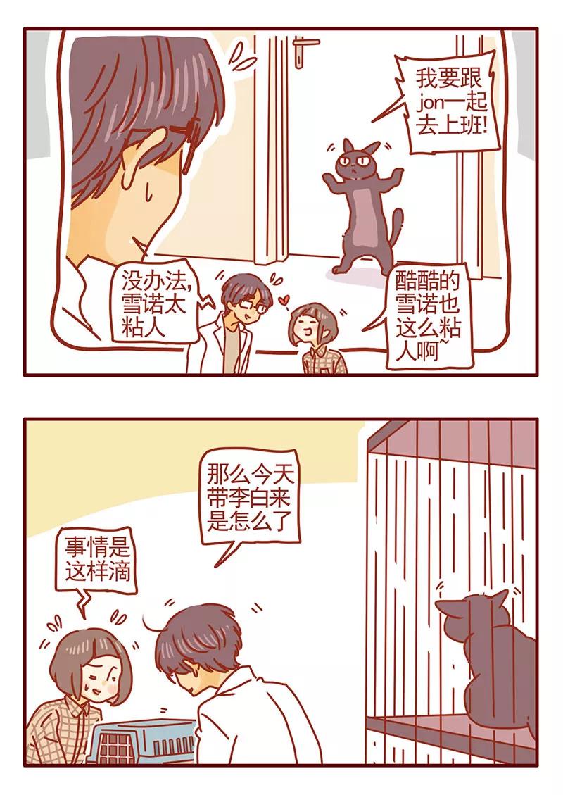 我只是一只小猫咪 第32话 第4页