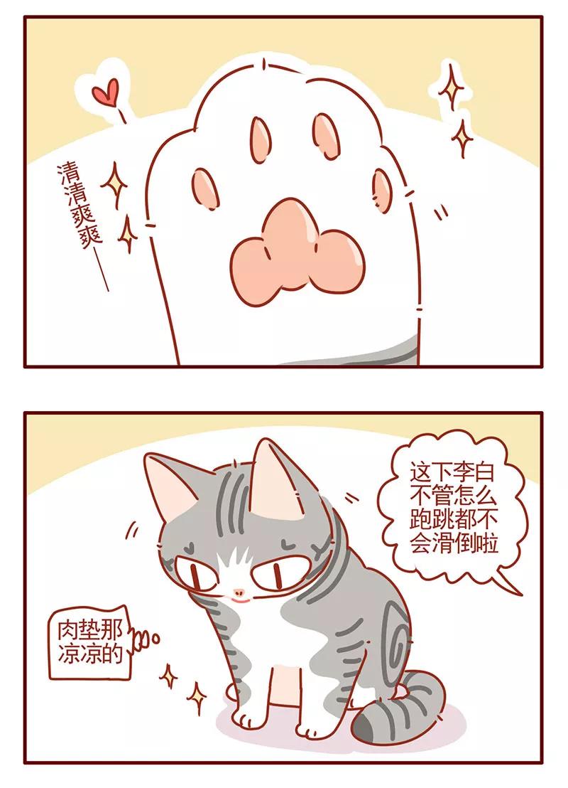 我只是一只小猫咪 第32话 第10页