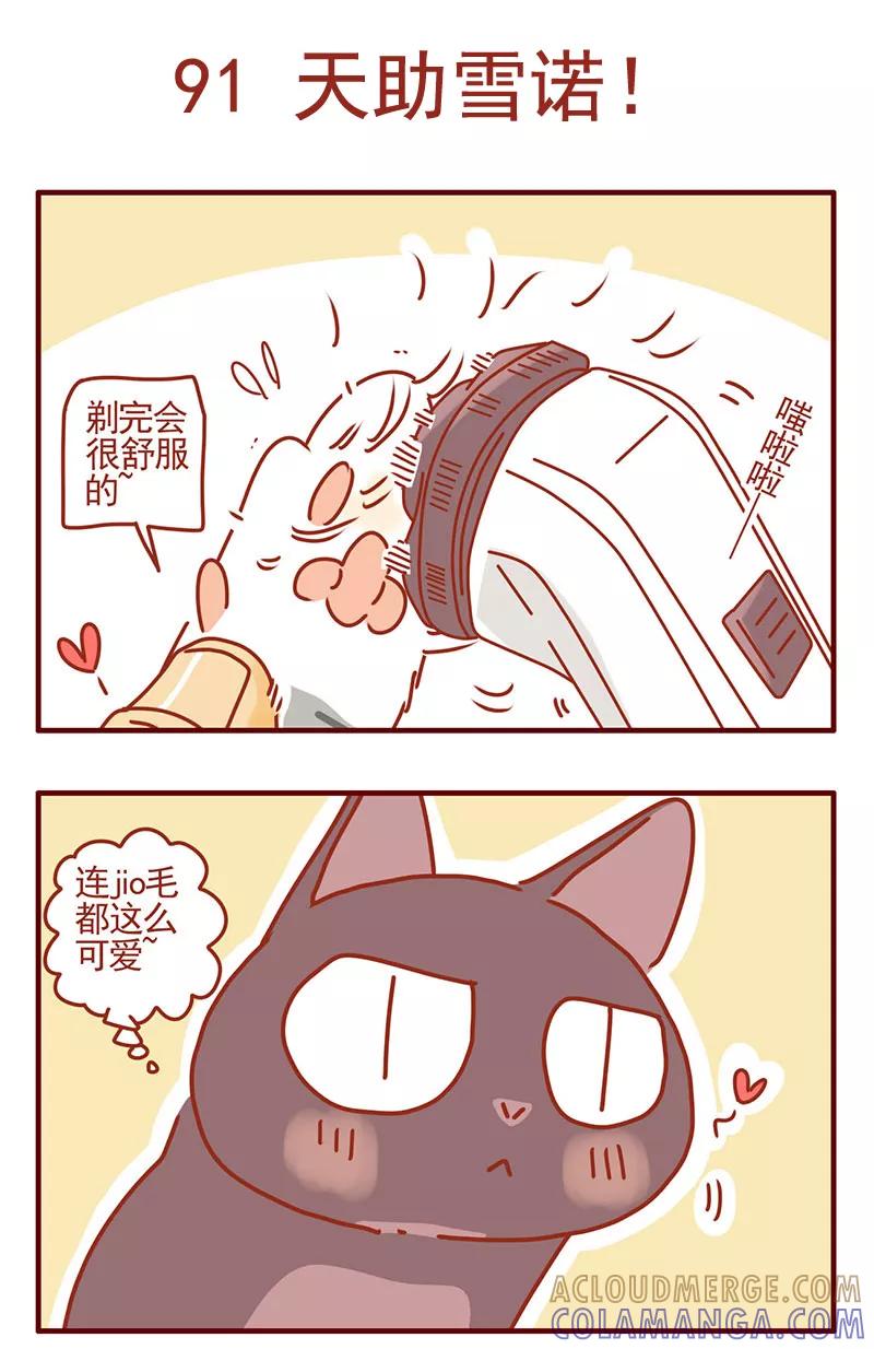 我只是一只小猫咪 第32话 第7页