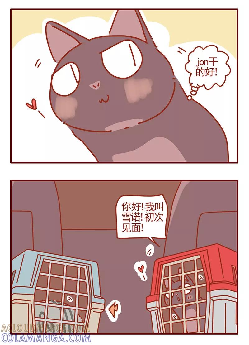 我只是一只小猫咪 第32话 第13页