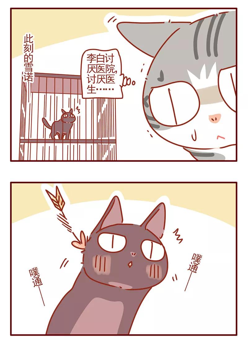 我只是一只小猫咪 第32话 第6页