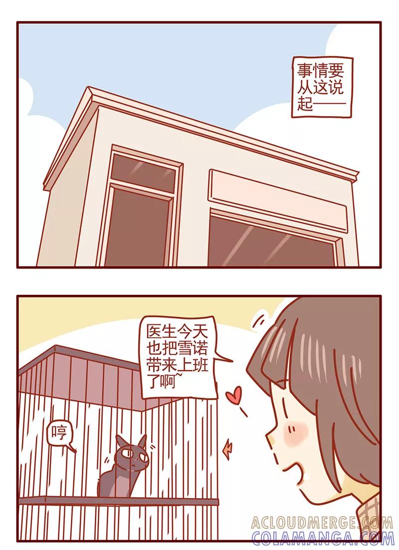 我只是一只小猫咪 第32话 第3页