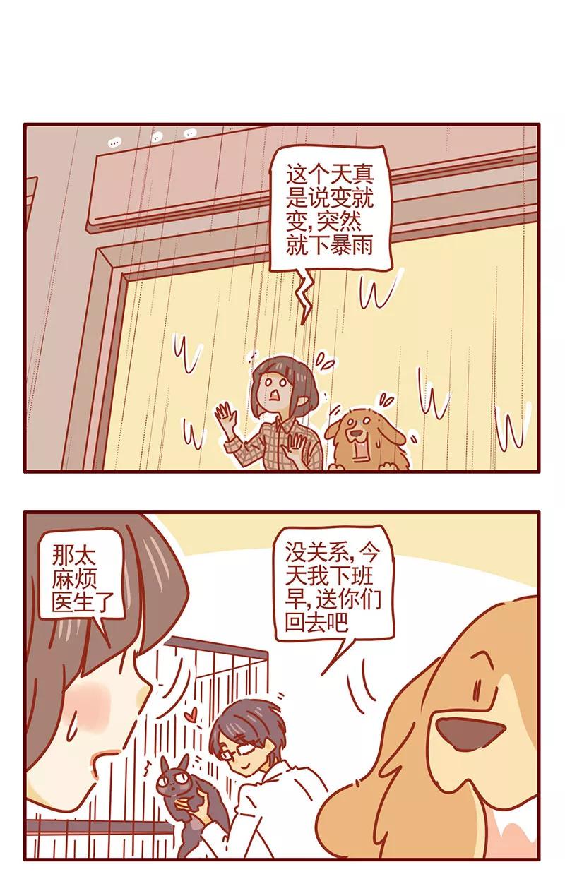 我只是一只小猫咪 第32话 第12页
