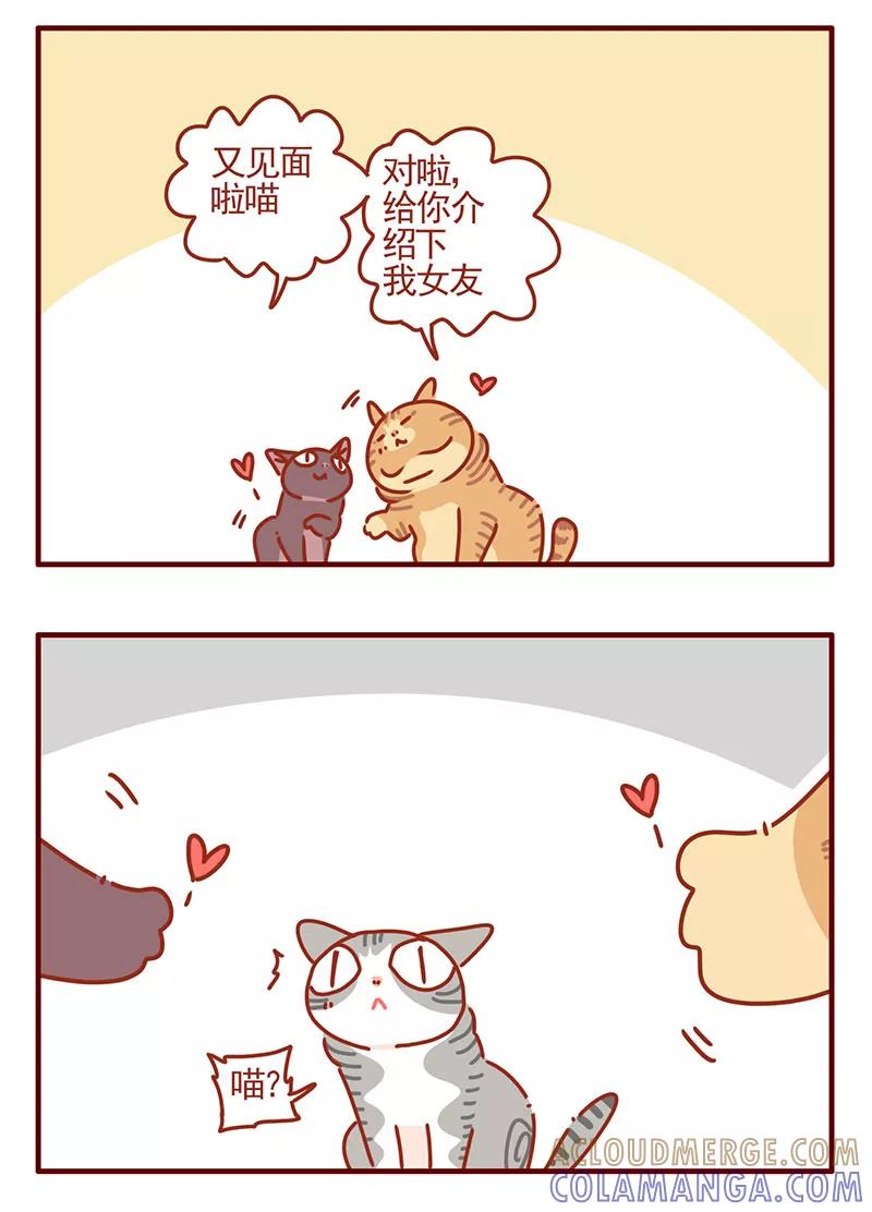 我只是一只小猫咪 第33话 第9页