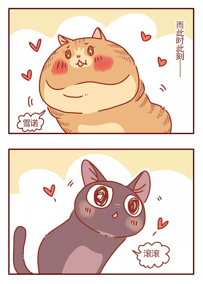 我只是一只小猫咪 第33话 第8页