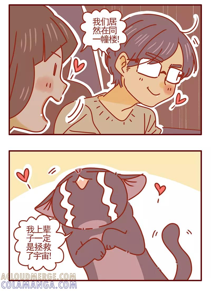 我只是一只小猫咪 第33话 第3页
