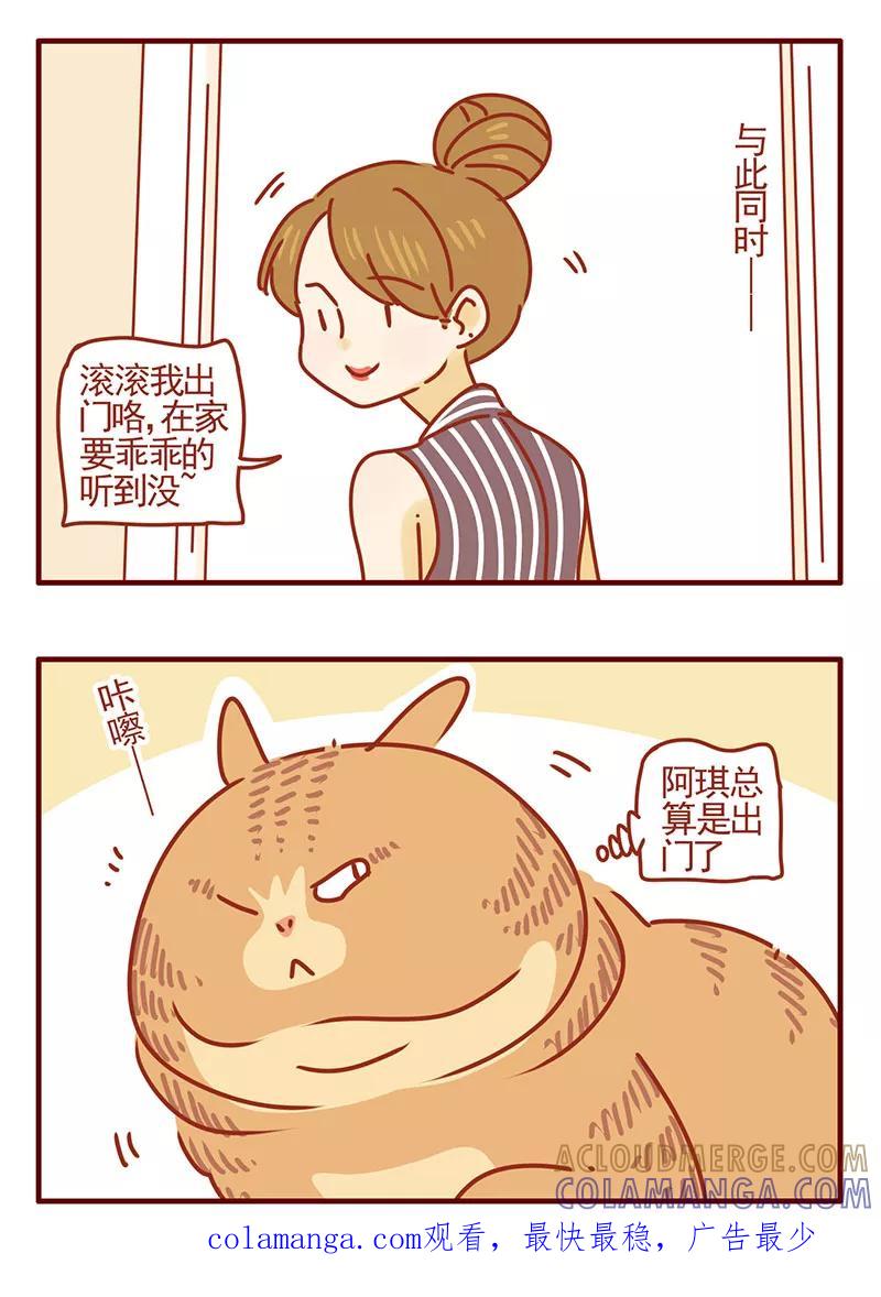 我只是一只小猫咪 第33话 第15页