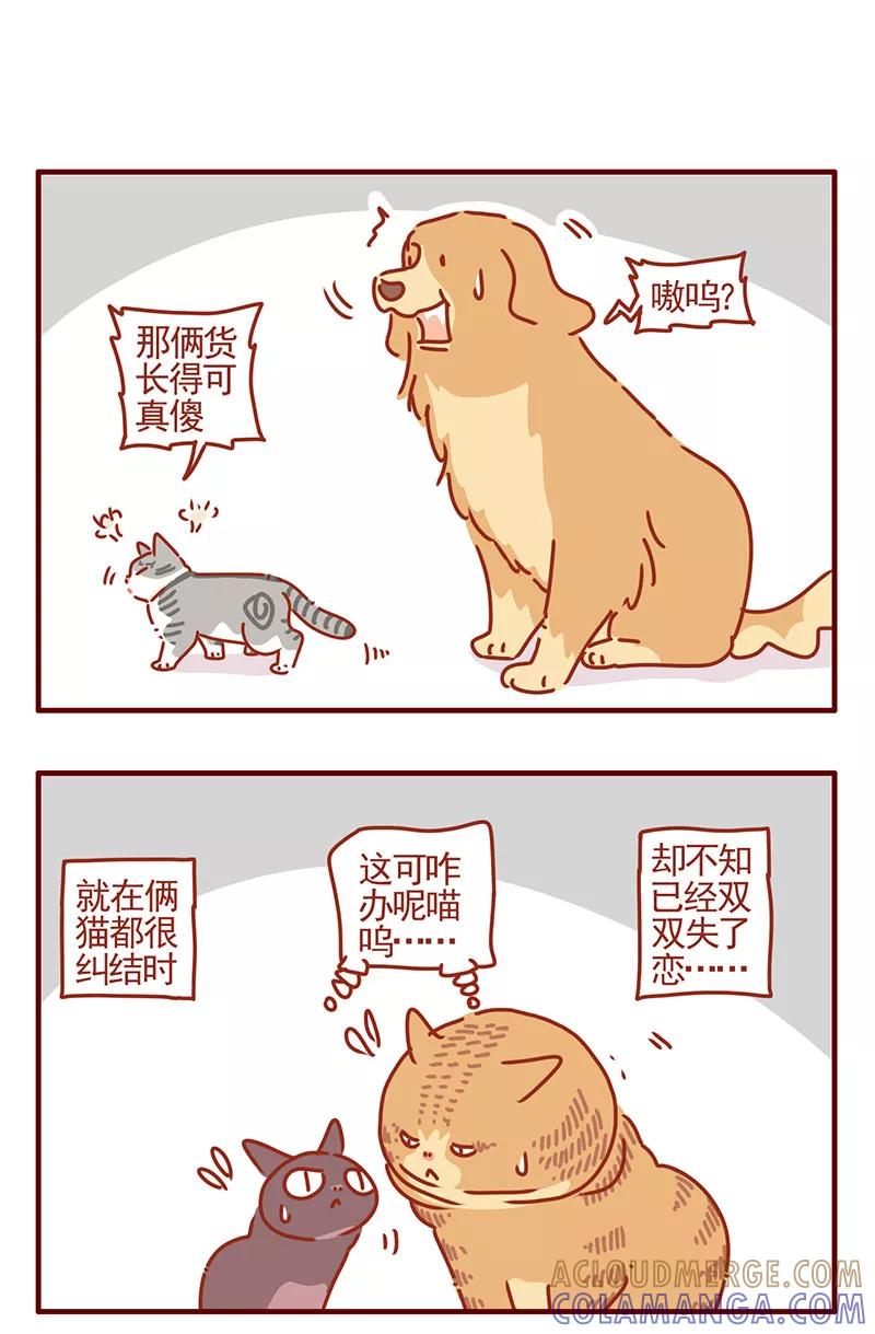 我只是一只小猫咪 第33话 第11页