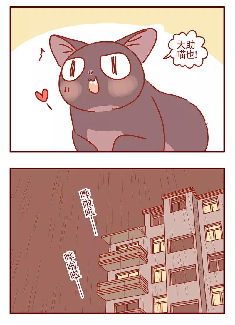 我只是一只小猫咪 第33话 第2页