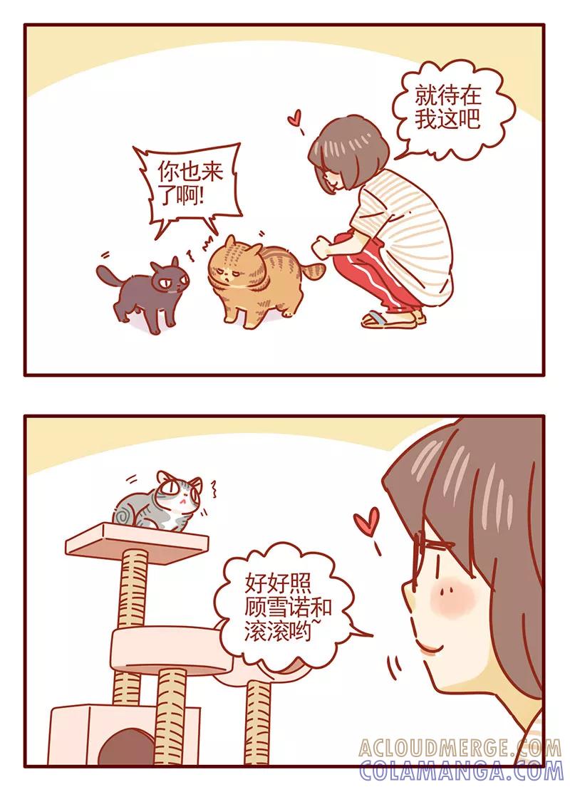 我只是一只小猫咪 第34话 第7页