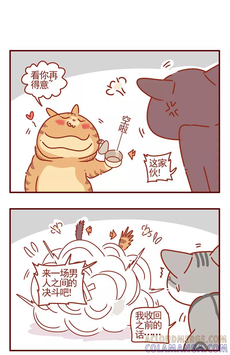 我只是一只小猫咪 第34话 第11页