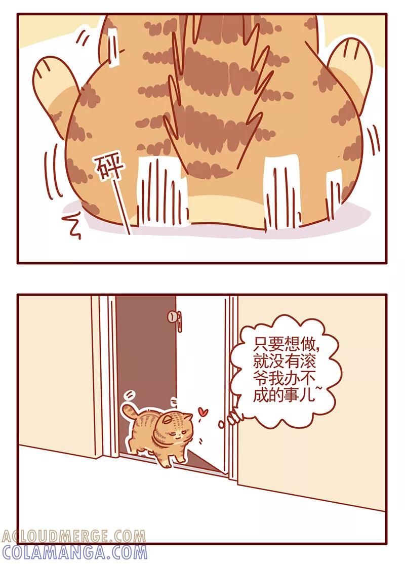 我只是一只小猫咪 第34话 第3页