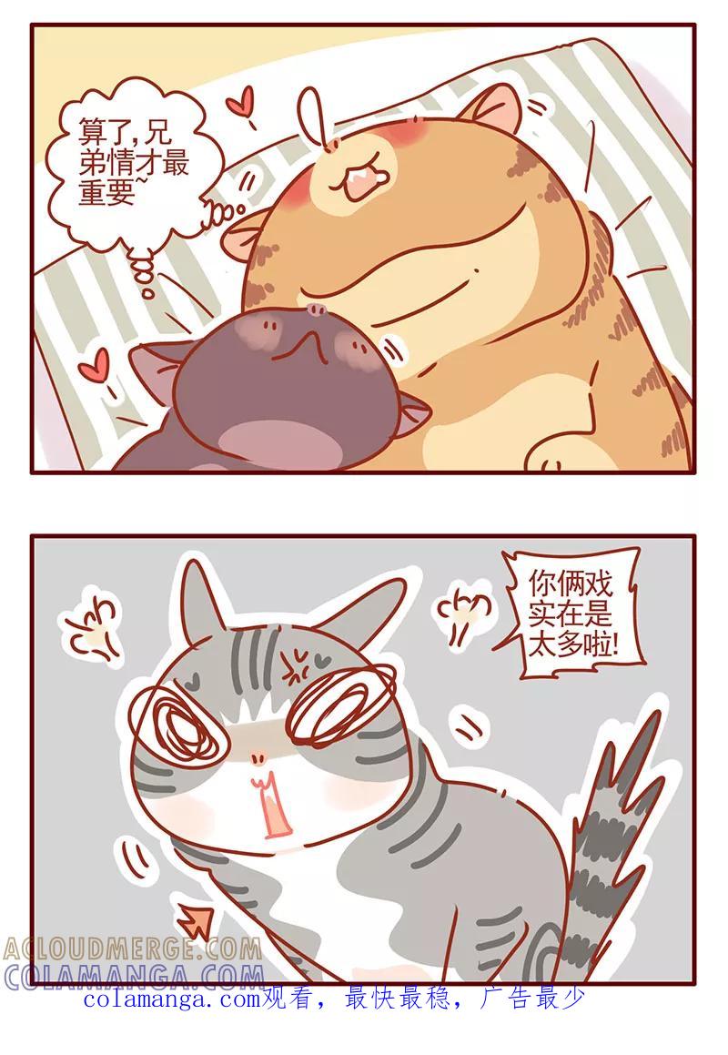 我只是一只小猫咪 第34话 第15页
