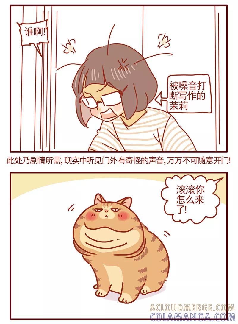 我只是一只小猫咪 第34话 第5页