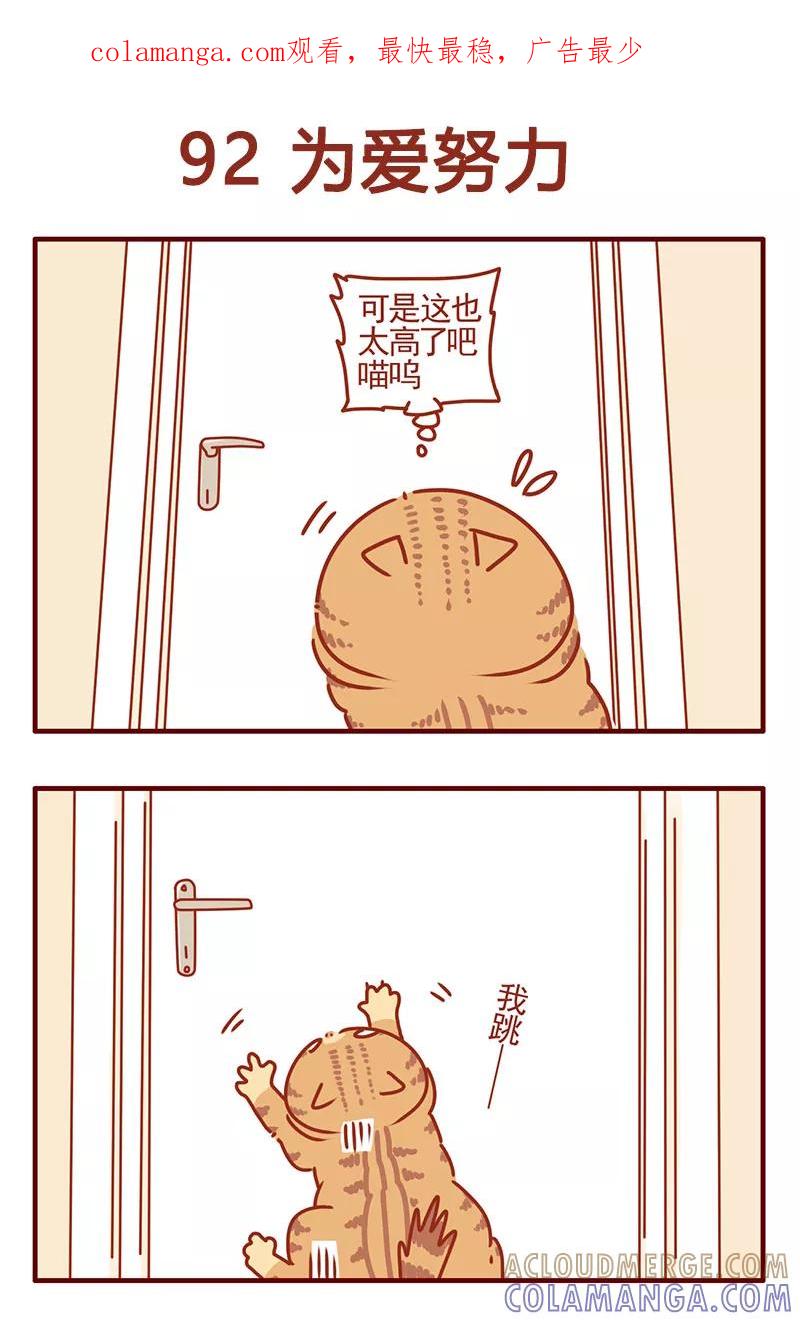 我只是一只小猫咪 第34话 第1页