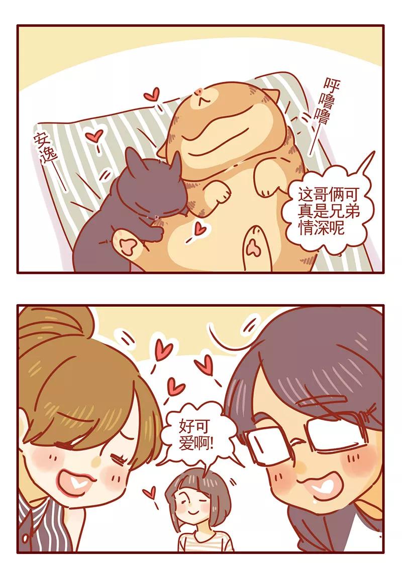我只是一只小猫咪 第34话 第14页