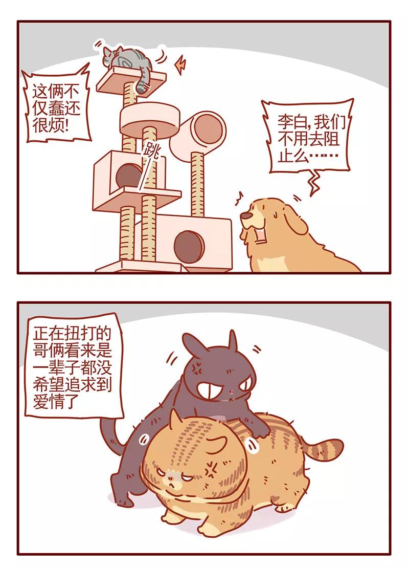 我只是一只小猫咪 第34话 第12页