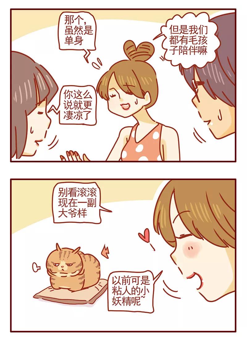 我只是一只小猫咪 第35话 第2页