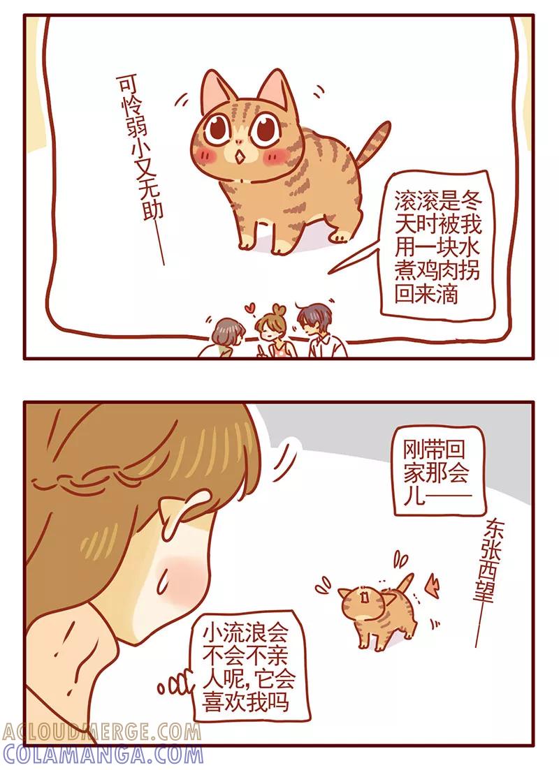 我只是一只小猫咪 第35话 第3页