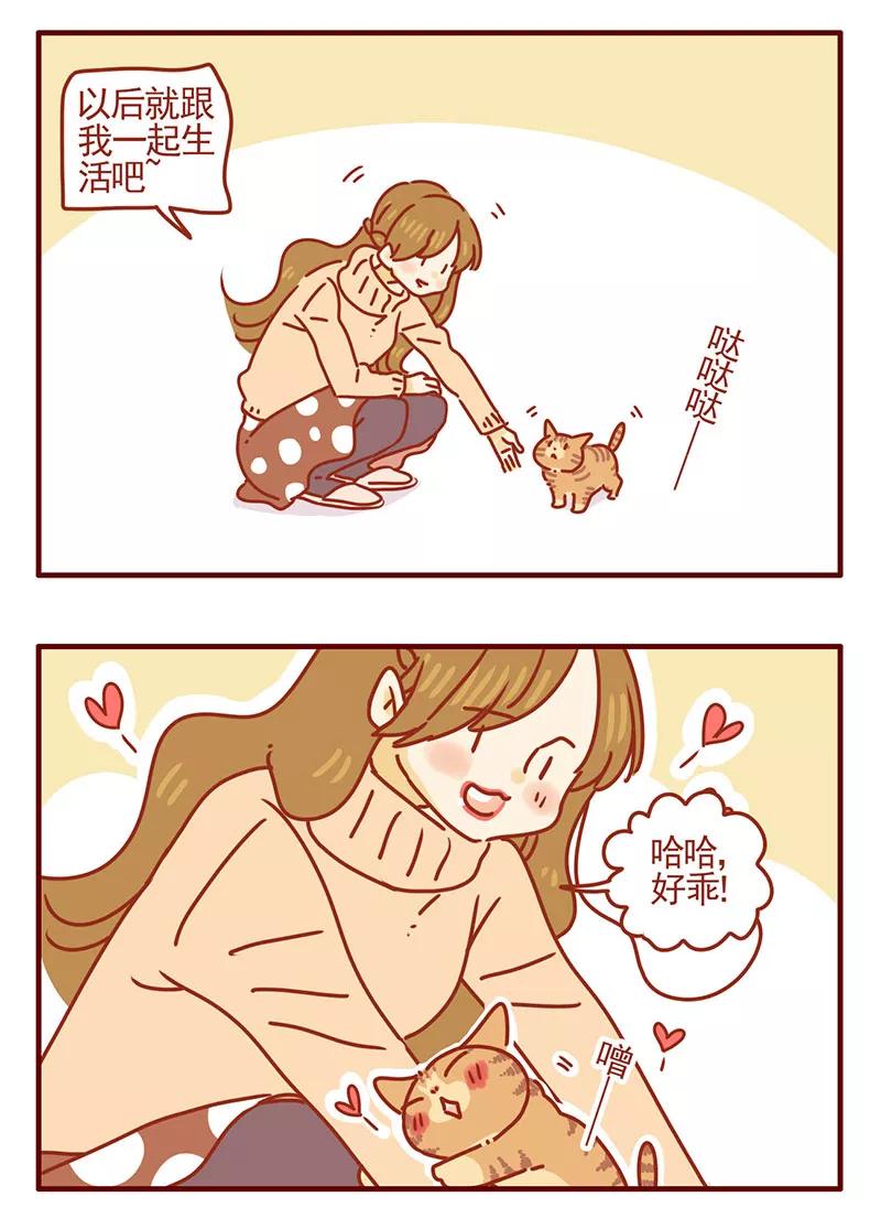 我只是一只小猫咪 第35话 第4页