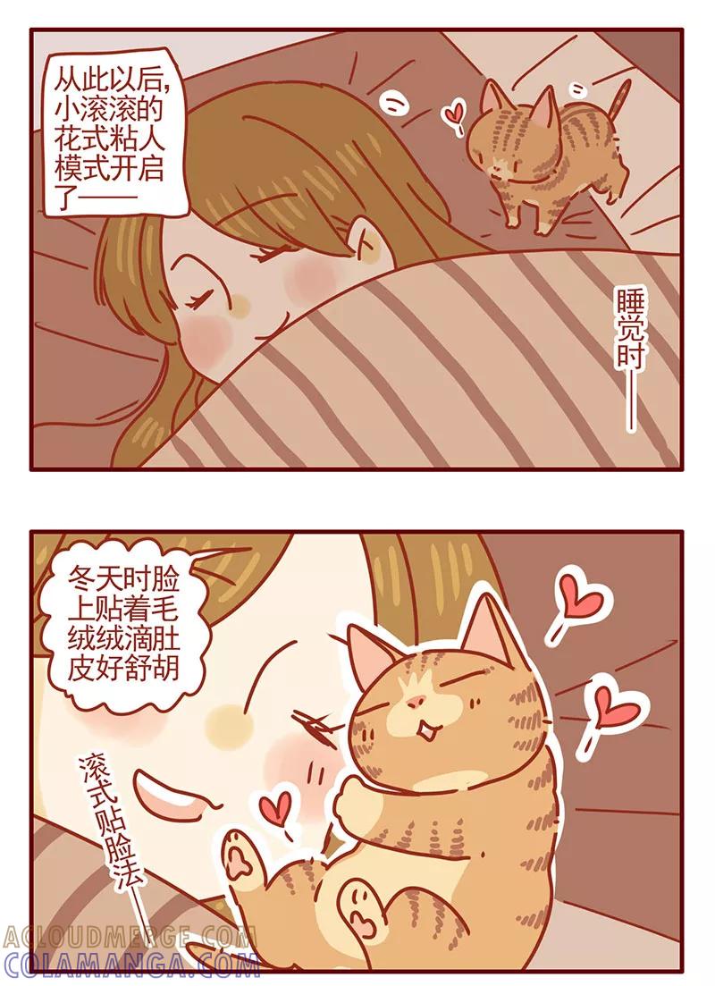 我只是一只小猫咪 第35话 第5页
